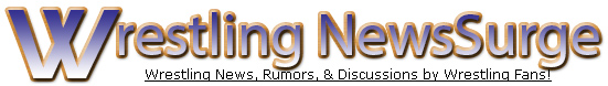 Wrestling News Surge Banner